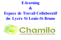 E-learning & Espace de Travail Collaboratif du  Lycée St Louis-St Bruno            Série STMG